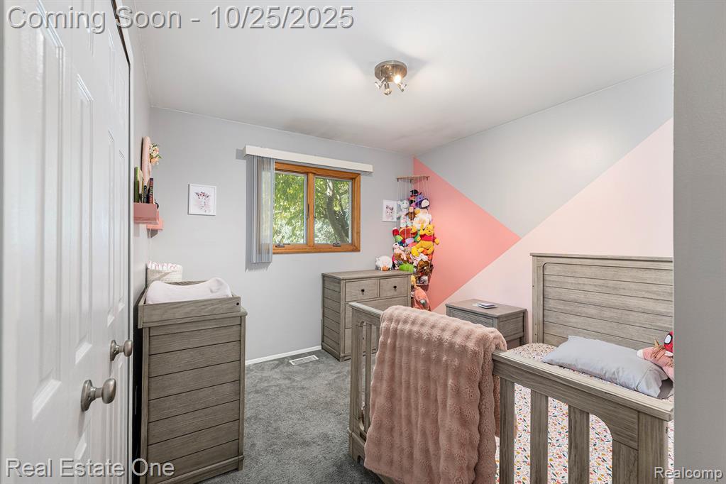 42002 Coulon Drive, Clinton Twp, MI 48038 — Photo 16