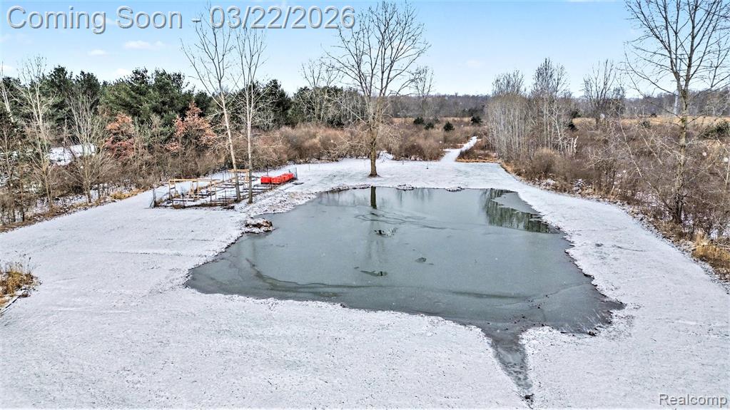 4458 Palms Road, Casco, MI 48064 — Photo 32