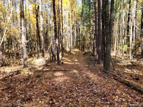 8109 M 55, Whittemore, MI 48770 — Photo 6