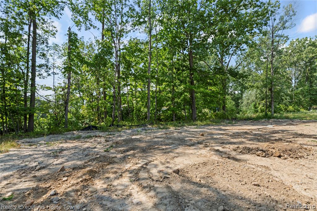 67695 MADELINE Street, Richmond, MI 48062 — Photo 6
