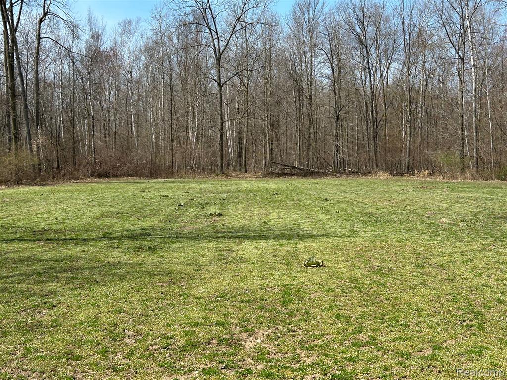 4215 JOSHUA Road, Cass City, MI 48726 — Photo 6