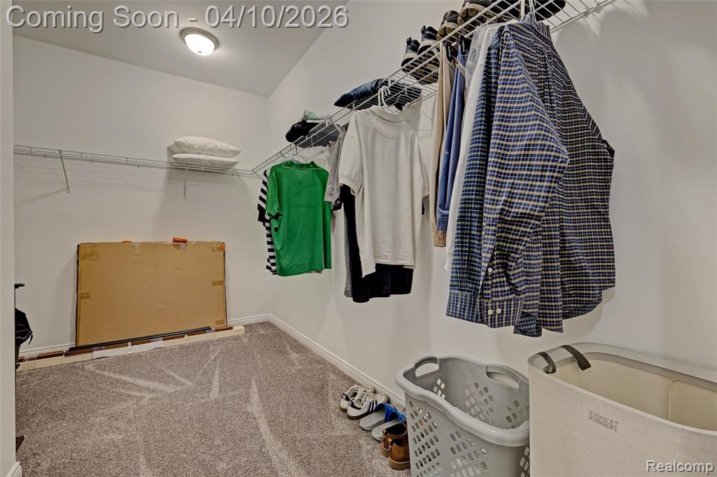 Walk in closet featuring carpet floors