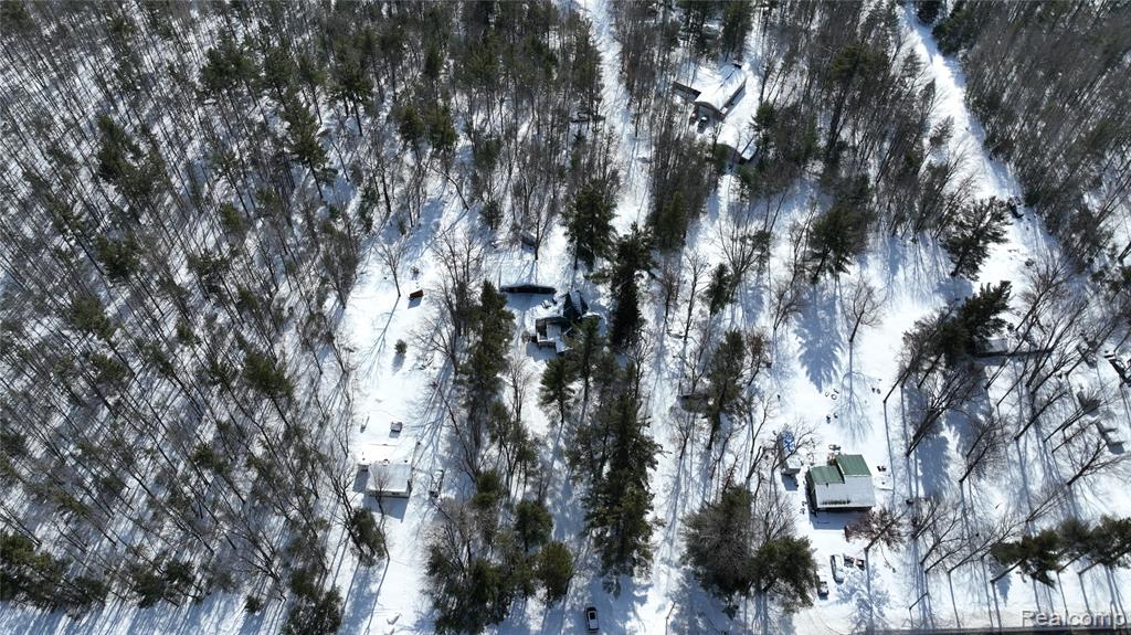 838 E Pere Cheney Road, Roscommon, MI 48653 — Photo 61