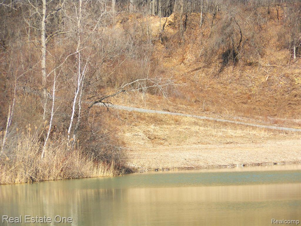 6 Park Ridge Road, White Lake, MI — Photo 17