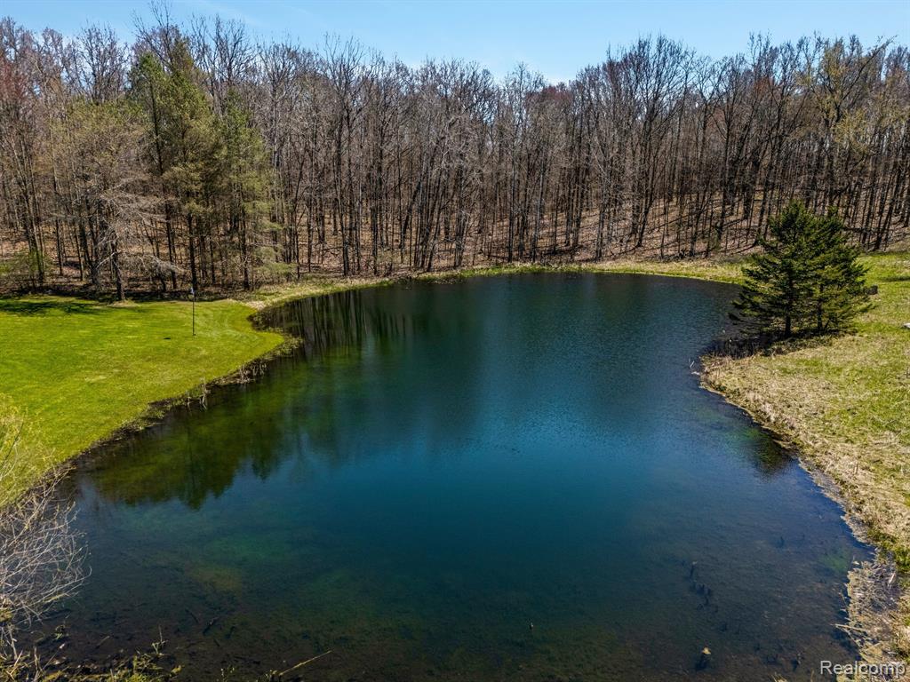 7312 LINDEN Road, Fenton, MI 48430 — Photo 43