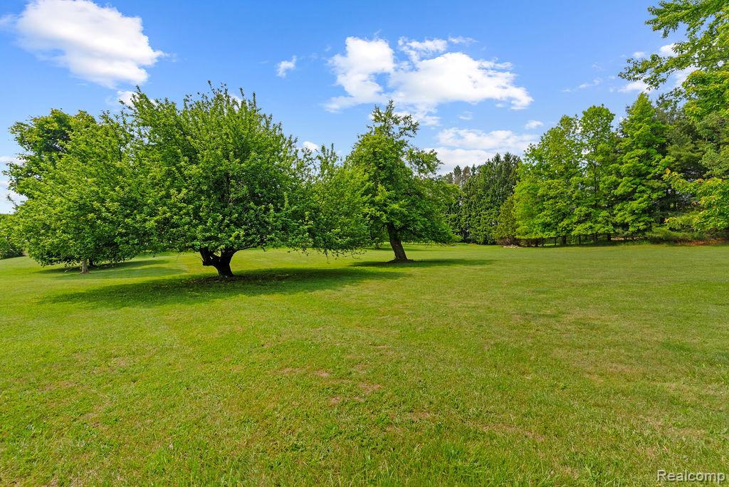 7284 Fostoria Road, Mayville Vlg, MI 48744 — Photo 30