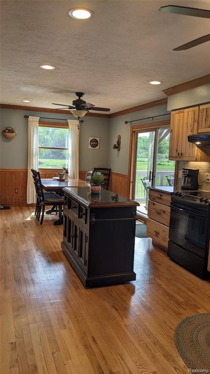 9753 W Coon Lake Road, Webberville, MI 48892 — Photo 7