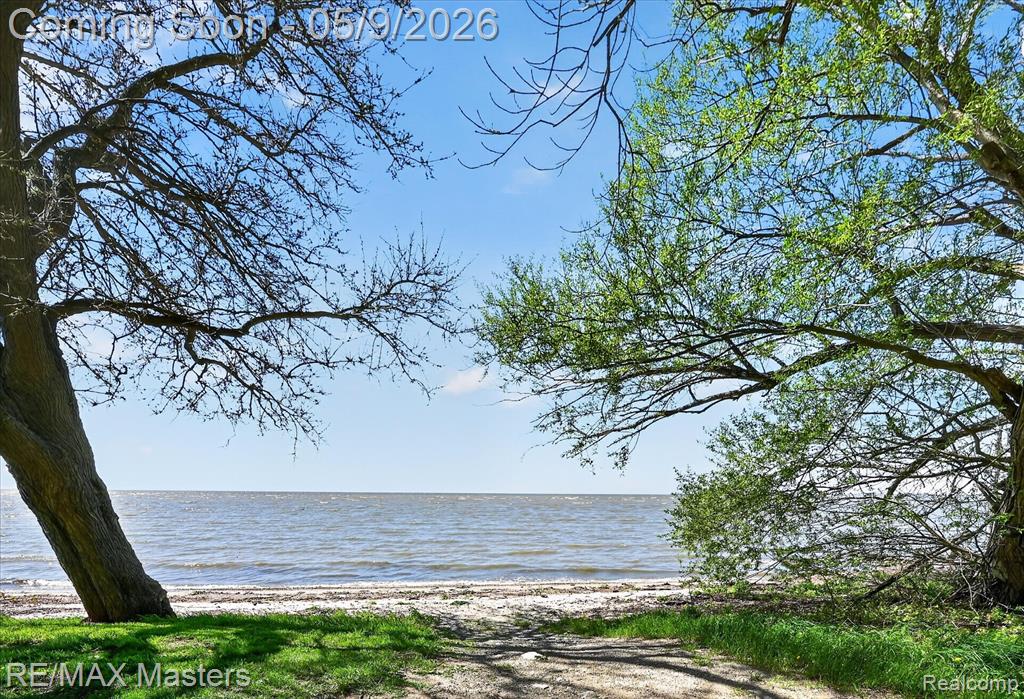 4318 Avenue F, Newport, MI 48166 — Photo 29