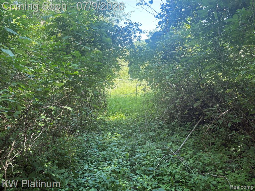 7280 North Road Road, Burtchville, MI 48059 — Photo 36