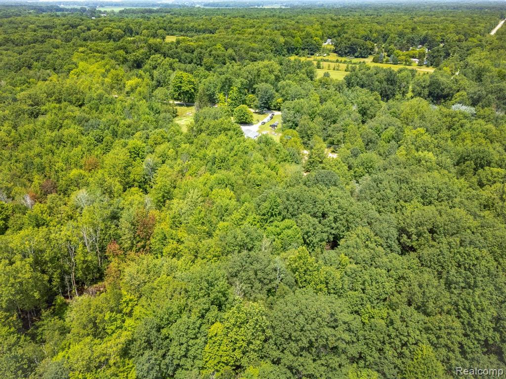 13105 BEAVER Road, St. Charles, MI 48655 — Photo 58