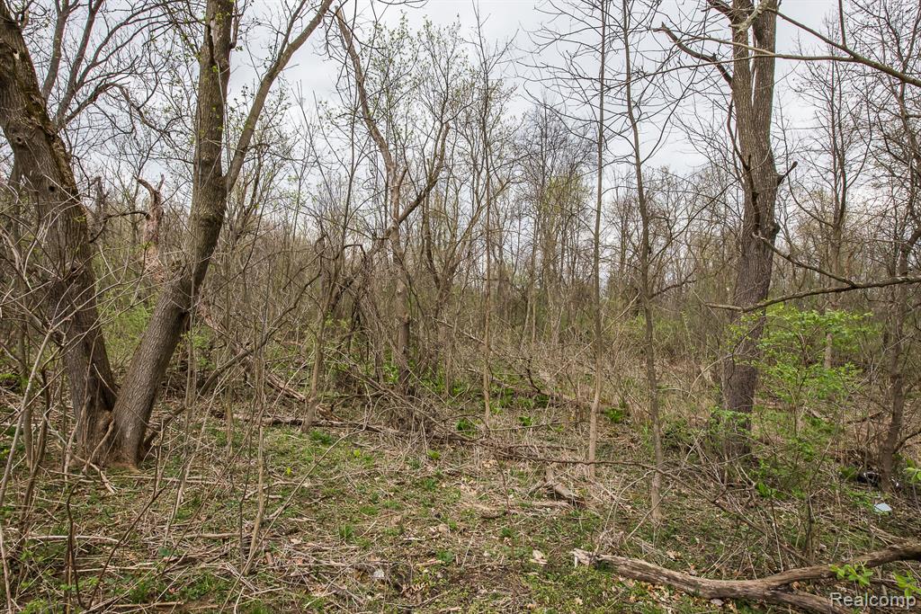3672 W NORTH TERRITORIAL Road, Whitmore Lake, MI 48189 — Photo 59