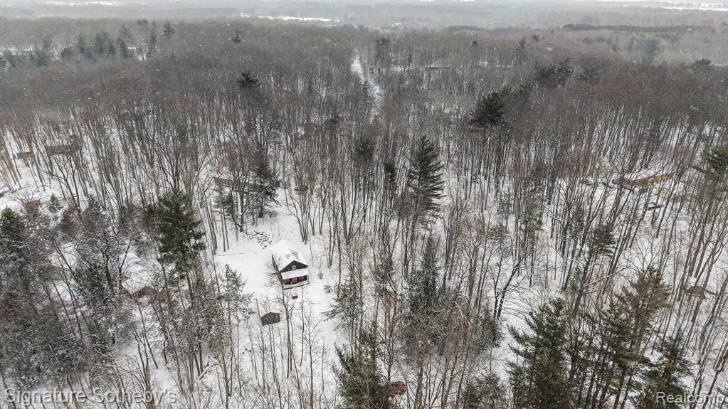 229 Forest Trail, Leroy, MI 49655 — Photo 28