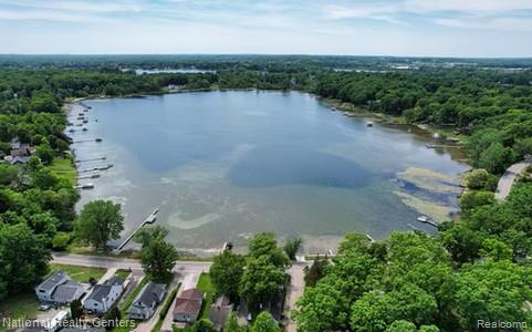 1494 Maxfield Road, Hartland, MI 48353 — Photo 4