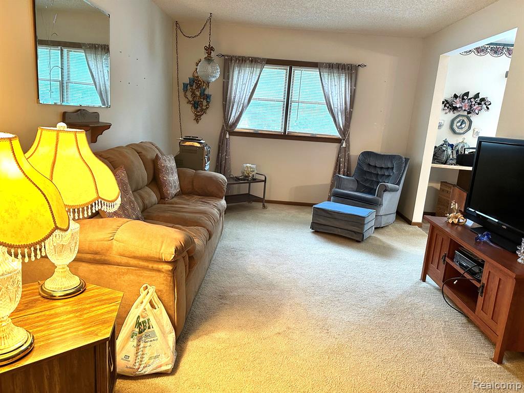 6111 5TH Street, Mayville Vlg, MI 48744 — Photo 7