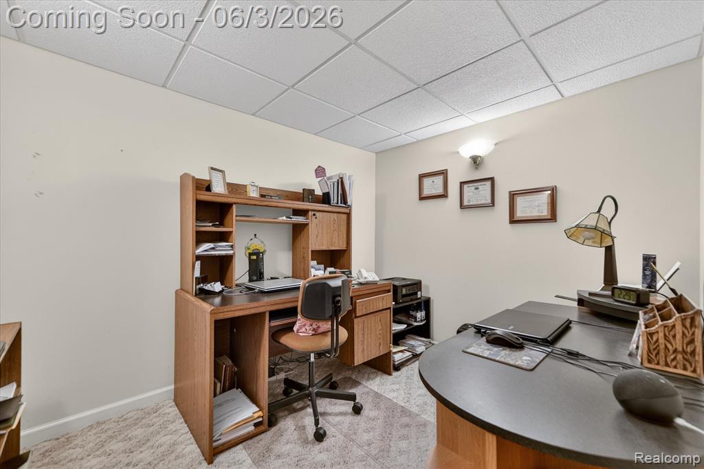 4208 Aster Boulevard, Howell, MI 48843 — Photo 25