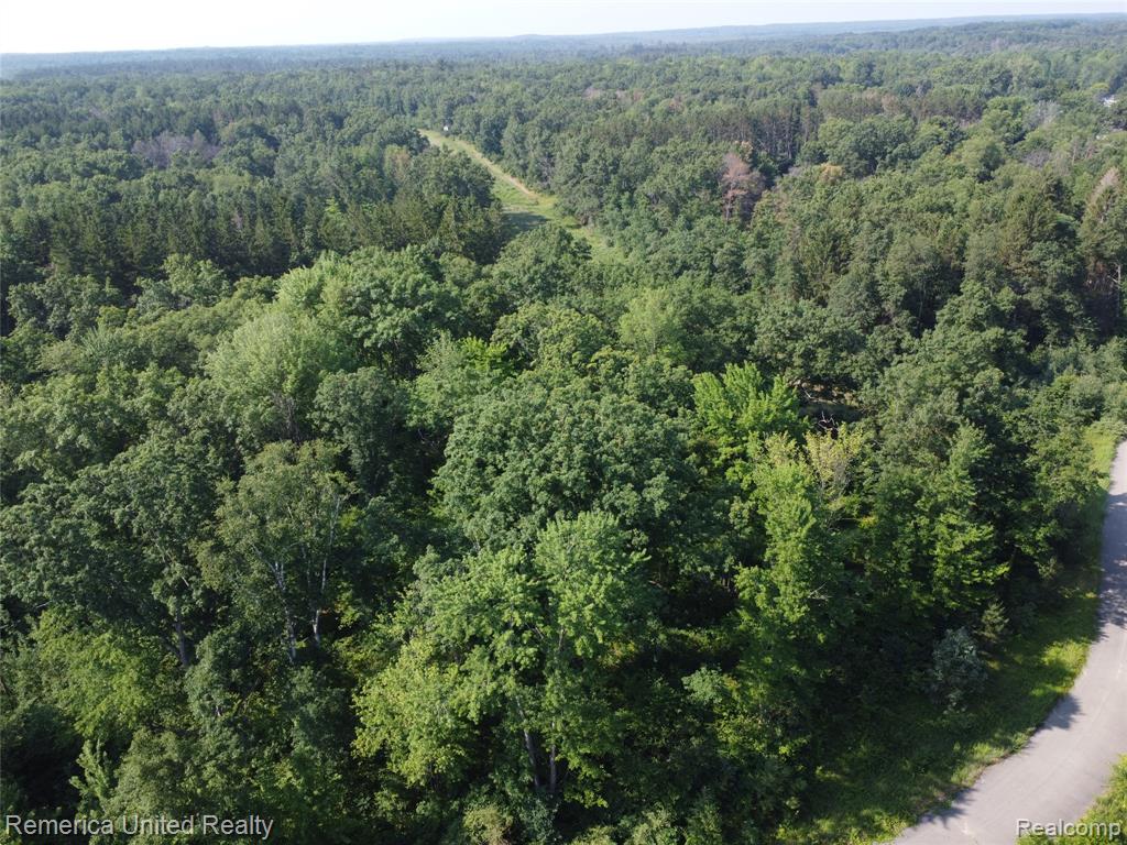 VL Pondside Dr Lot 19, Farwell, MI 48622 — Photo 22