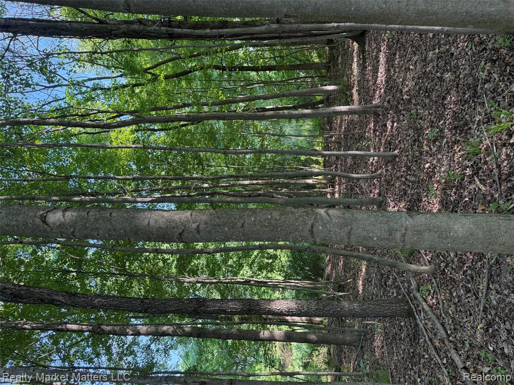 5400 Snow Den Trail, Columbiaville, MI 48421 — Photo 16