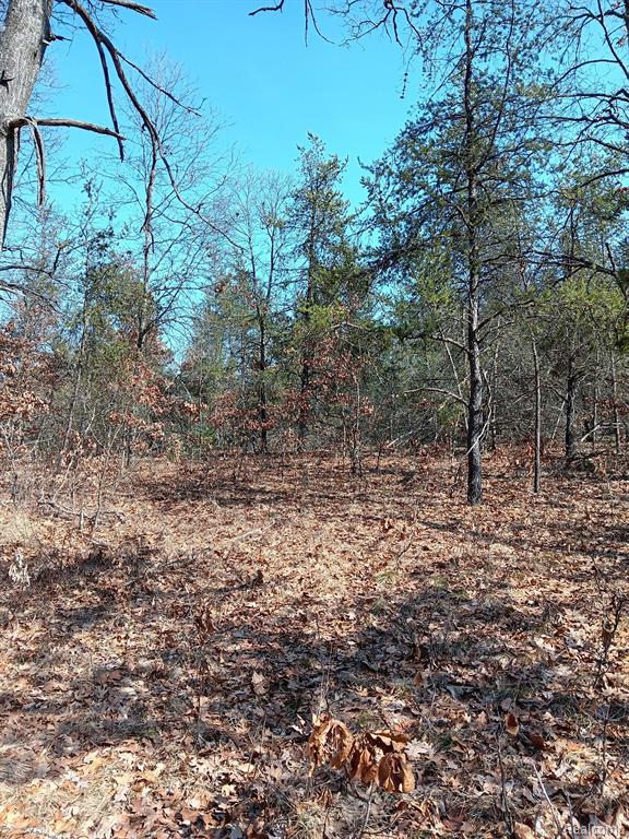 0000 Cedar Creek Road, Wellston, MI, 49689