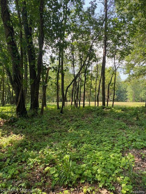 4 Sleaford-Parcel 4 - 32.92 Acres Road, Howell, MI 48843 — Photo 30