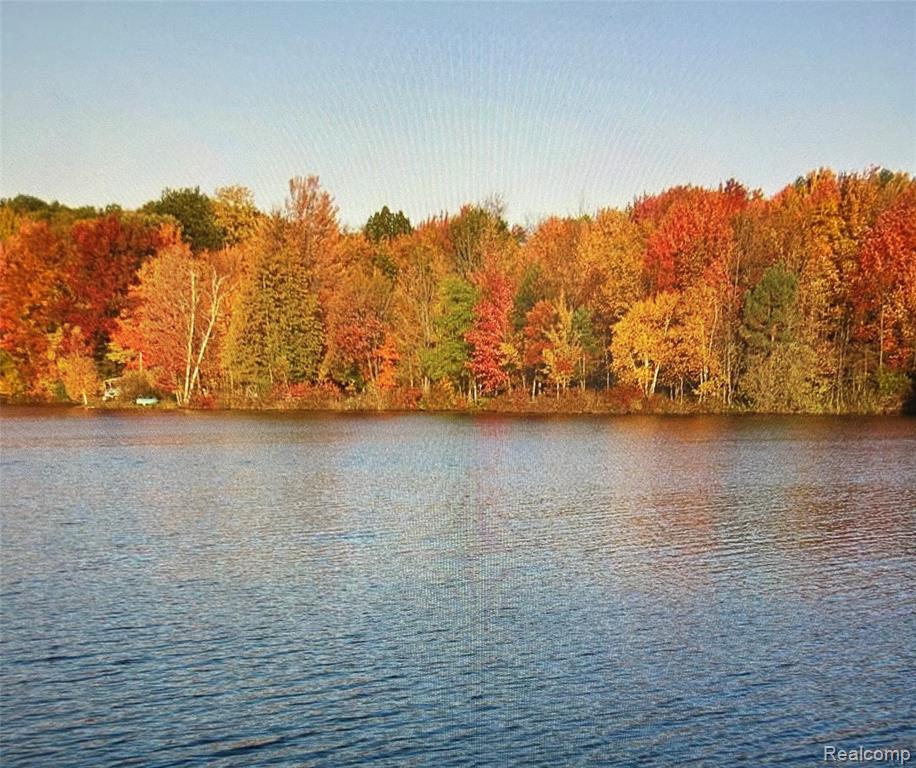 3805 Lee Hill Road, Mayville Vlg, MI 48744 — Photo 10