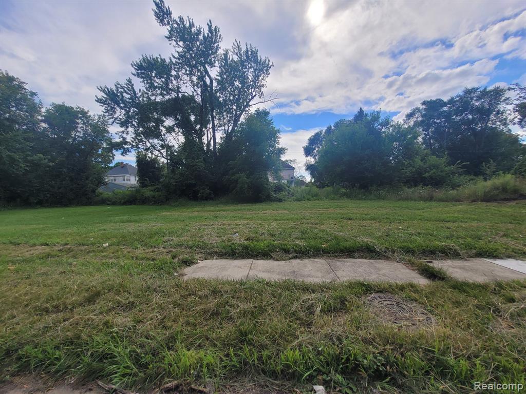 3443 BEALS Street, Detroit, MI 48214 — Photo 10