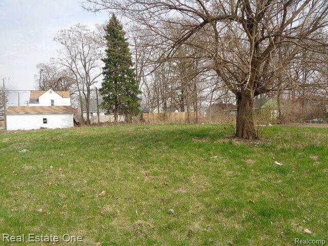 12932 DWYER Street, Hamtramck, MI 48212 — Photo 4