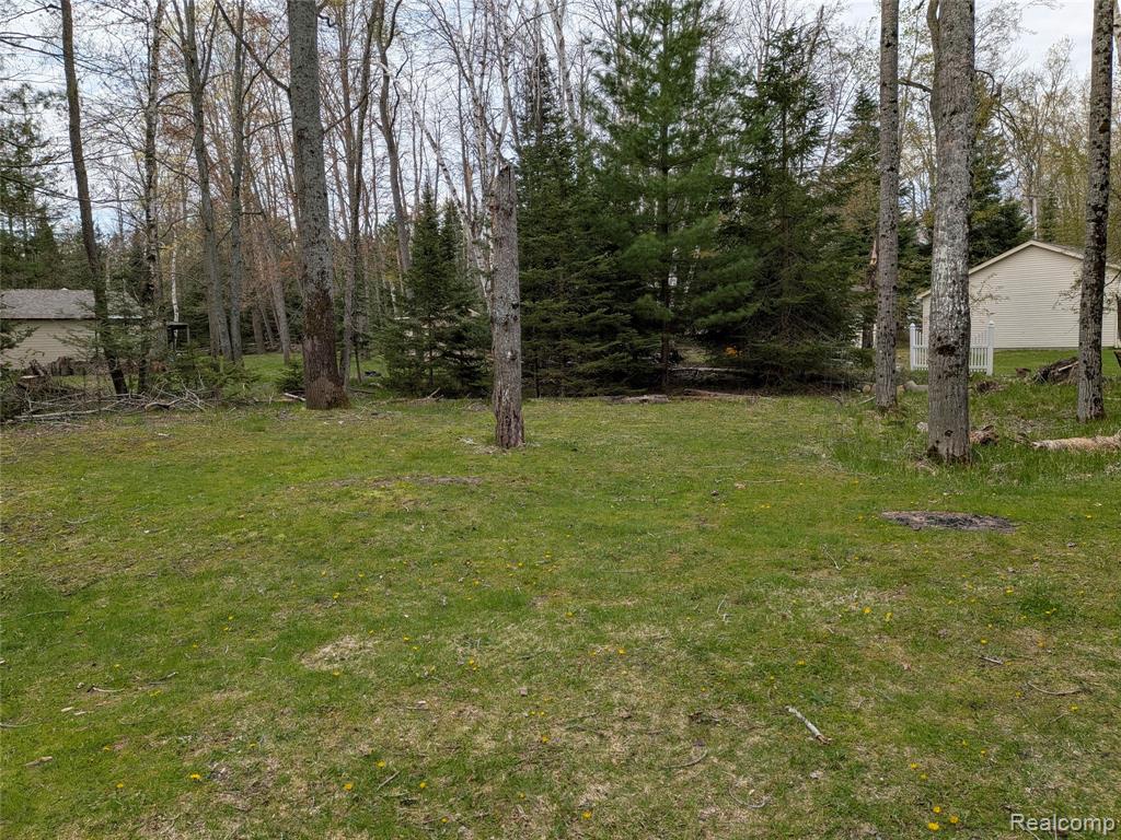 4365 N Norway Road, Lincoln, MI 48742 — Photo 22