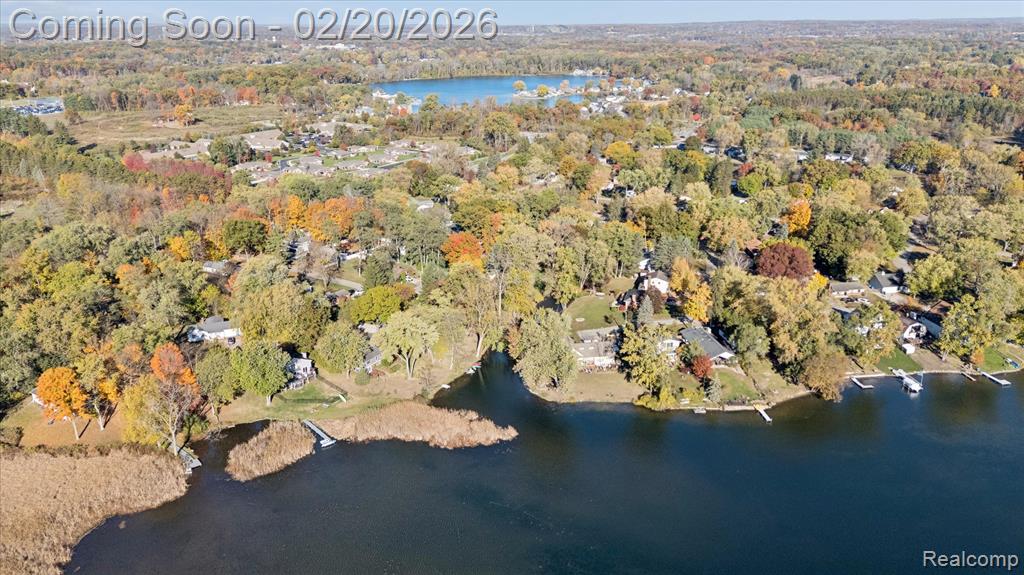 541 Crystalia Street, Commerce Twp, MI 48382 — Photo 54