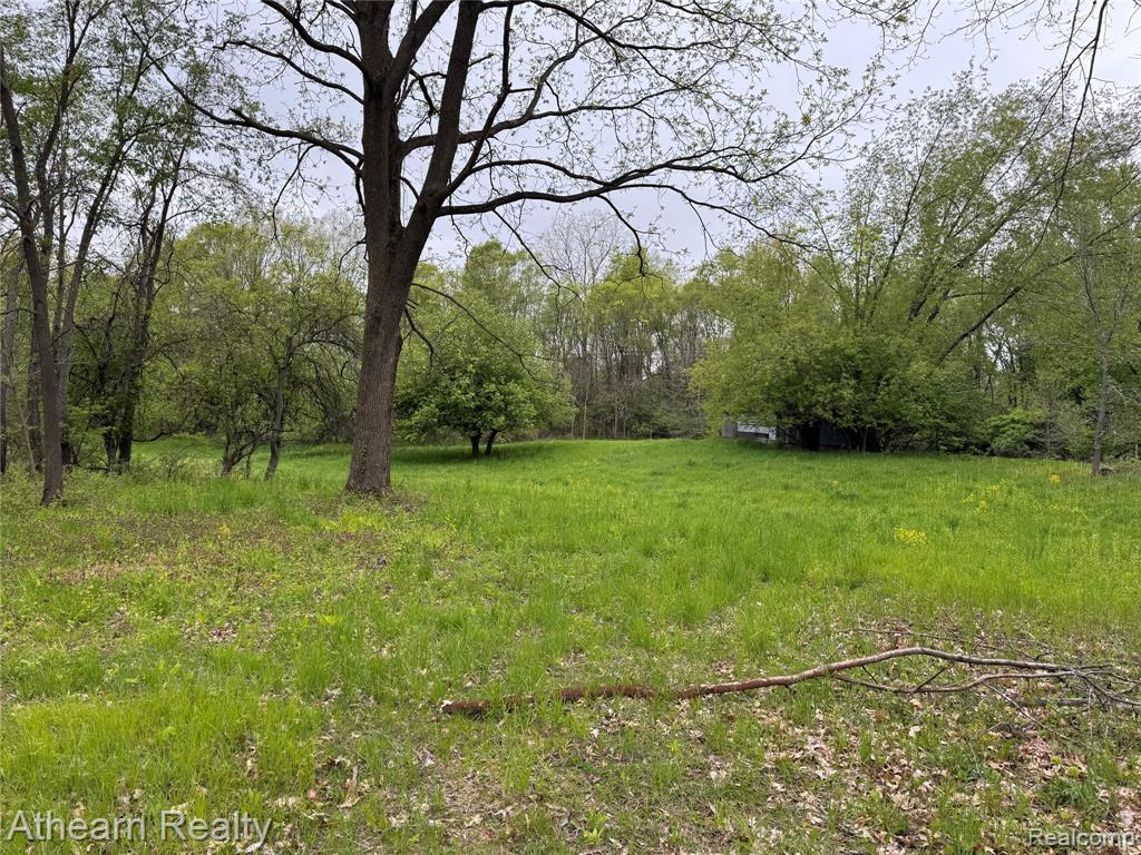 VL Dutton Rd Dutton Road, Gregory, MI 48137 — Photo 4