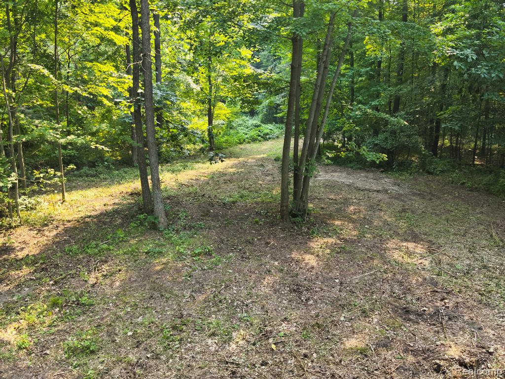 V/L Frushour Drive, Holly, MI 48442 — front exterior
