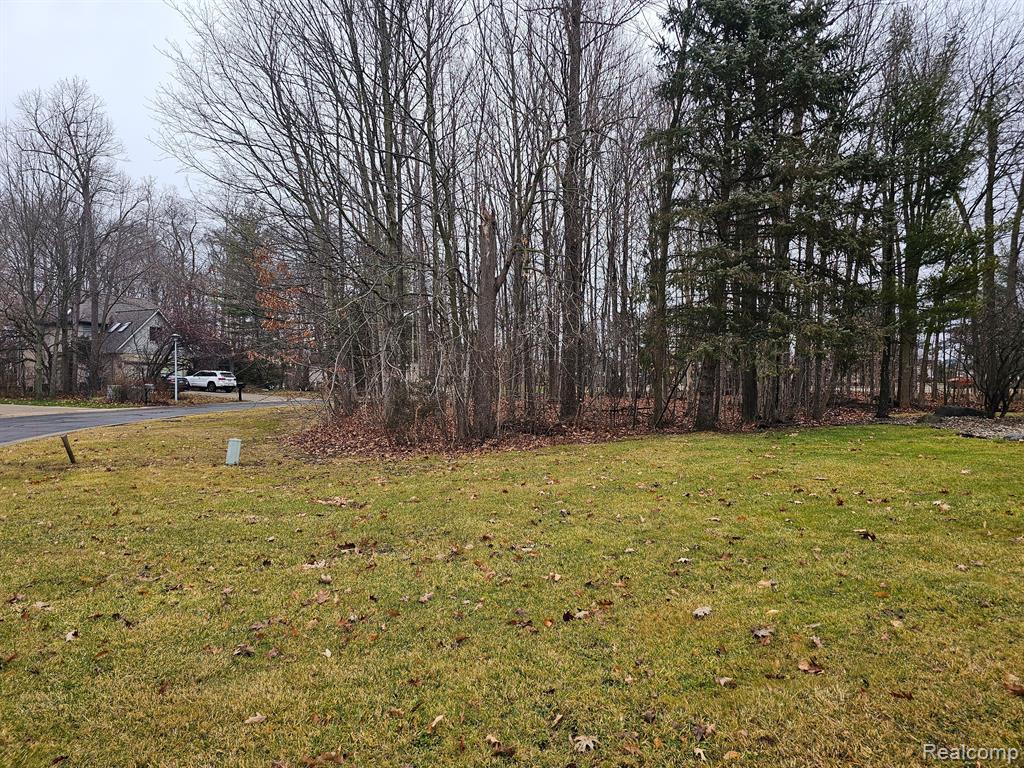 2291 WOODS WEST Drive, Flushing, MI 48433 — Photo 18