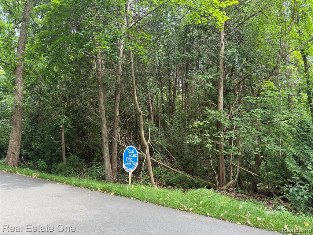 Lot 62 Plover Drive, Highland, MI — Photo 3