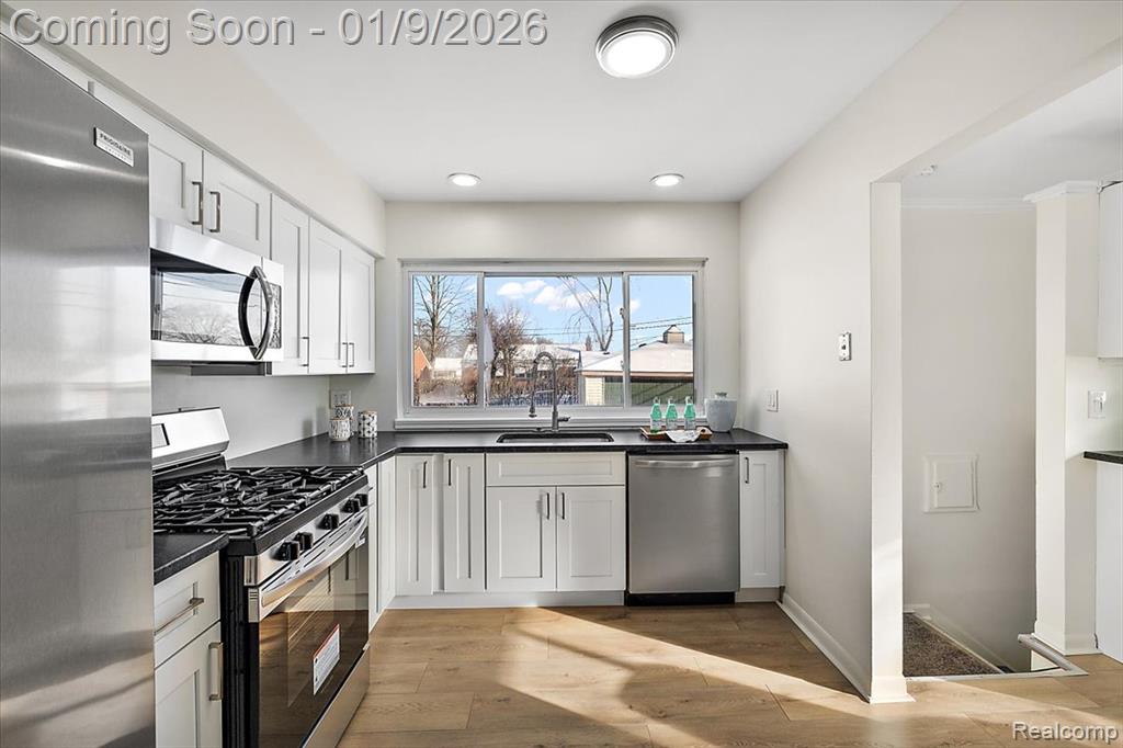 9848 Milburn Street, Livonia, MI 48150 — Photo 11