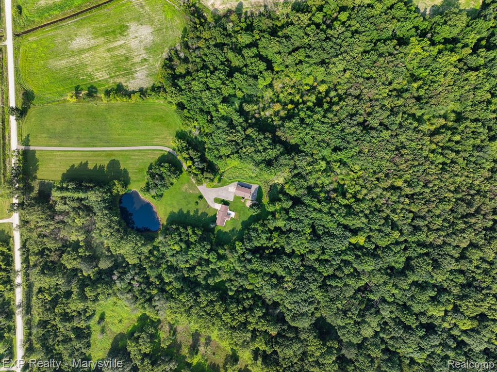 12980 Metcalf Road, Brockway, MI 48097 — Photo 32