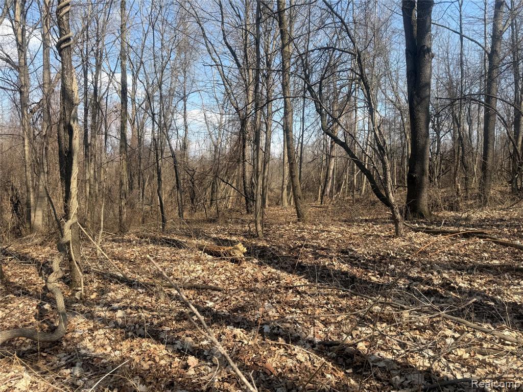 V/L Fulton, Mayville Vlg, MI 48744 — Photo 14