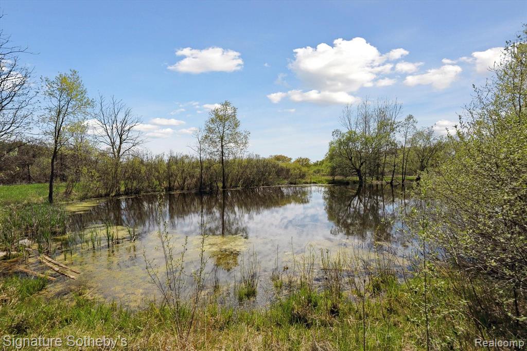 9827 KENNEDY Road, Munith, MI 49259 — Photo 7