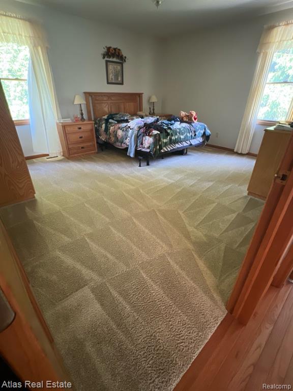 6075 Mayville Road, Clifford, MI 48727 — Photo 18
