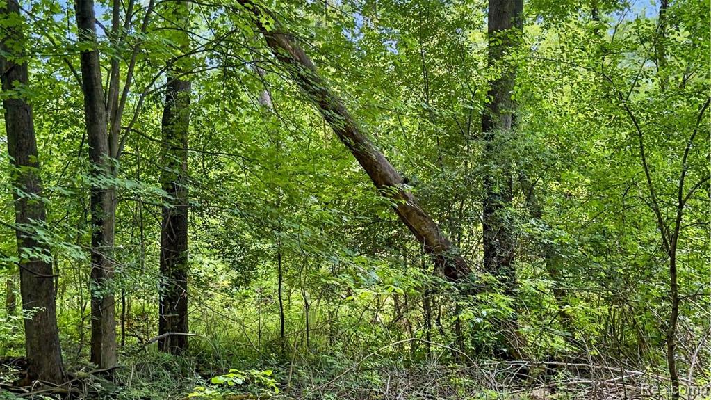 Vacant Lot- Judson Rd-Judson Park Sub, Rochester Hills, MI 48306 — Photo 17