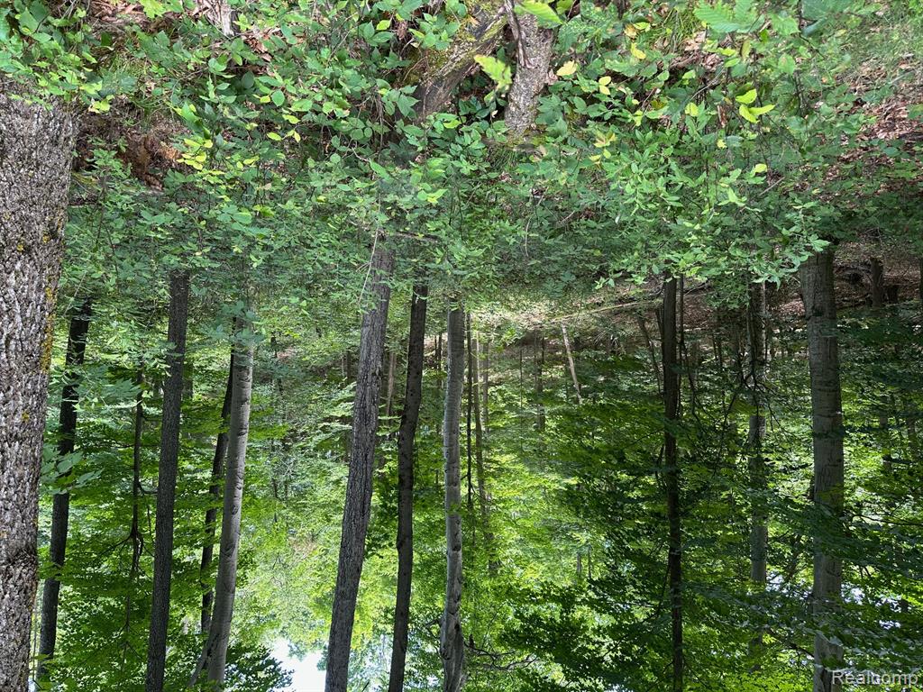 Parcel A Lake Bluff Drive, Arcadia, MI 49613 — Photo 13