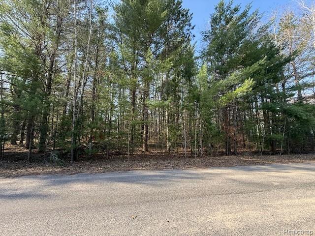 0 Ponderosa Drive, Cadillac, MI 49601