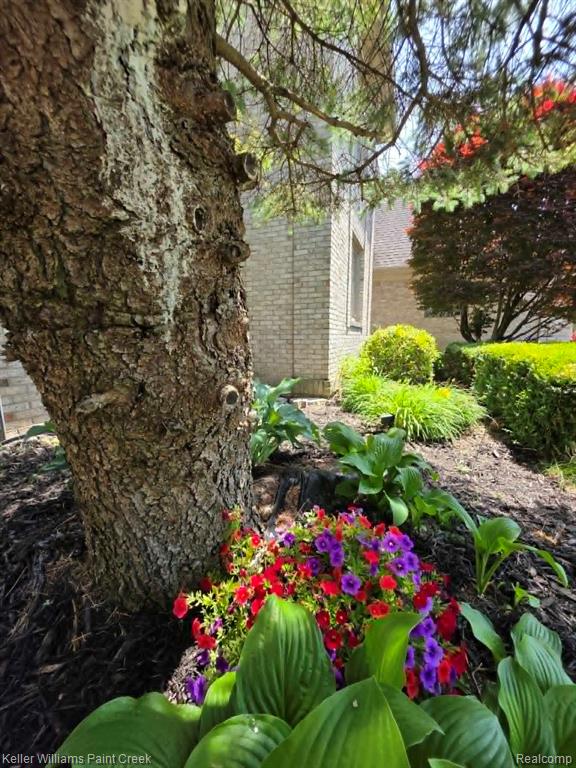 54390 Ashley Lauren Drive, Macomb, MI 48042 — Photo 68