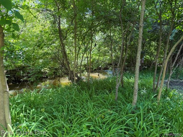 5135 Iron Gate Road - Photo 3