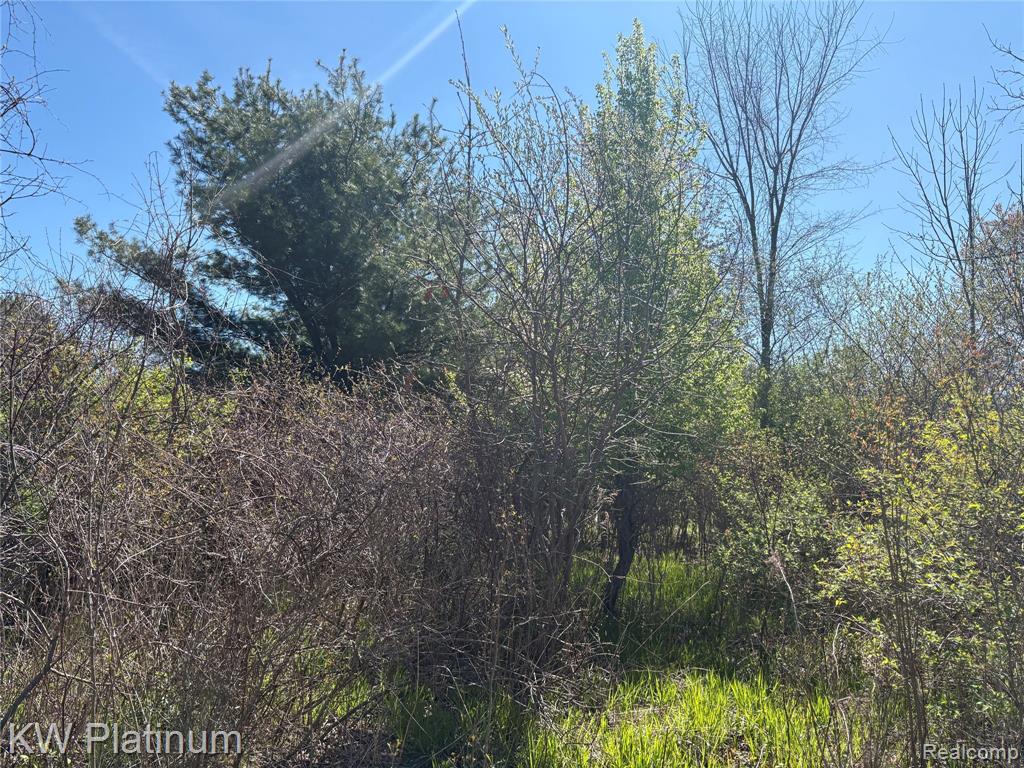 Parcel C Wicha Drive, Burtchville, MI 48059 — Photo 16