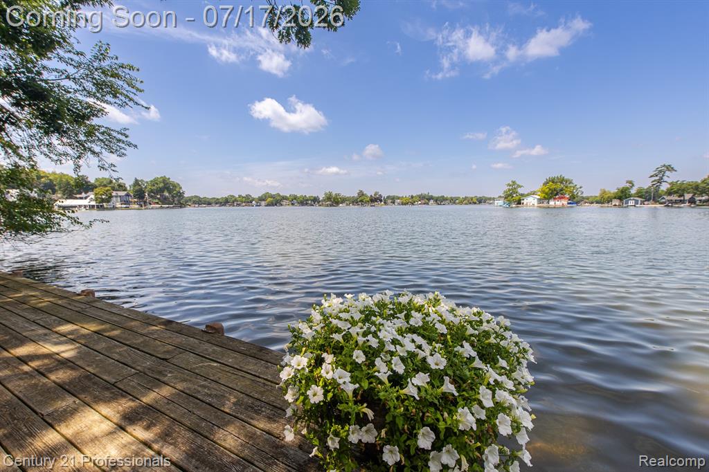 420 Bellevue Avenue, Lake Orion, MI 48362 — Photo 15