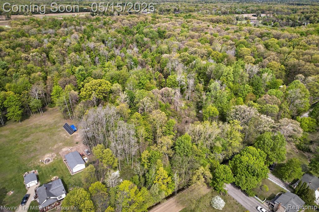 22530 Bohn Road, Belleville, MI 48111 — Photo 2