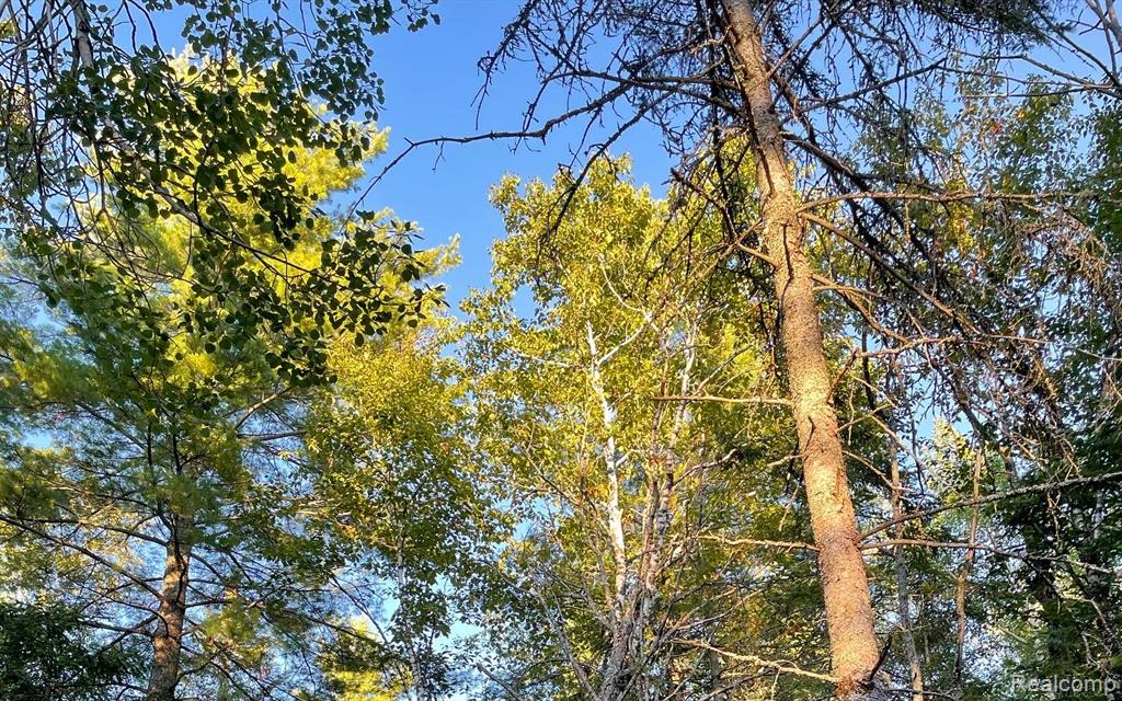 VL Grand Island, Presque Isle, MI 49777 — Photo 3