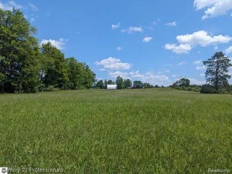 3608 S State, Glennie, MI 48737 — Photo 24