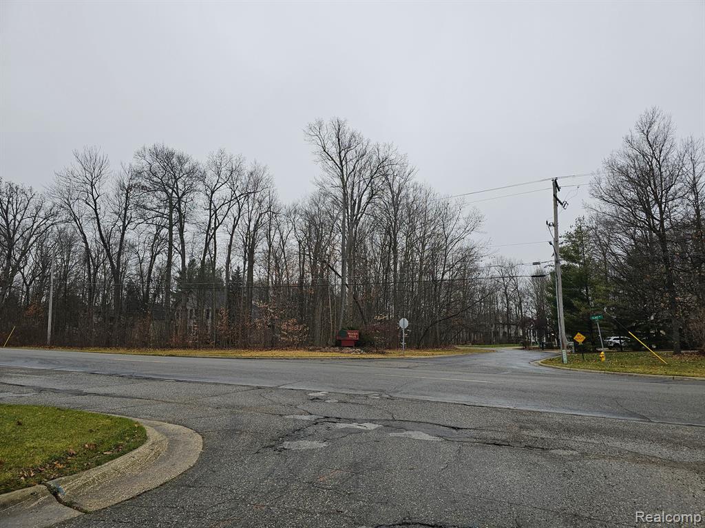 2291 WOODS WEST Drive, Flushing, MI 48433 — Photo 21