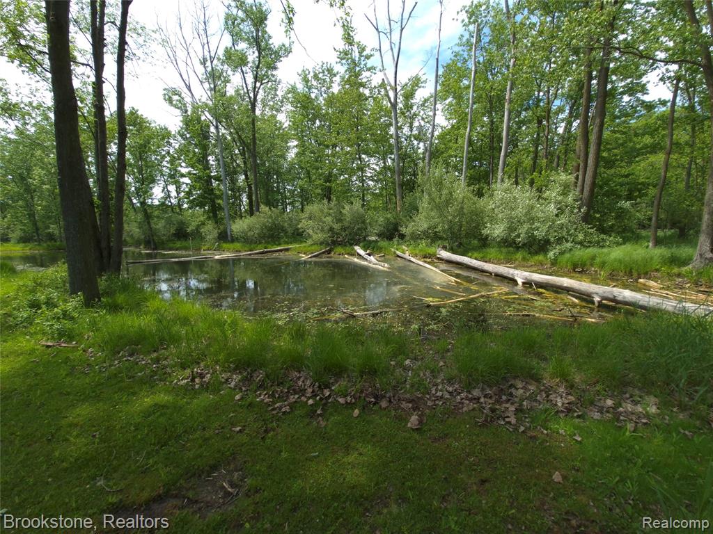 5910 Spring Valley Lane, Dryden, MI 48428 — Photo 83