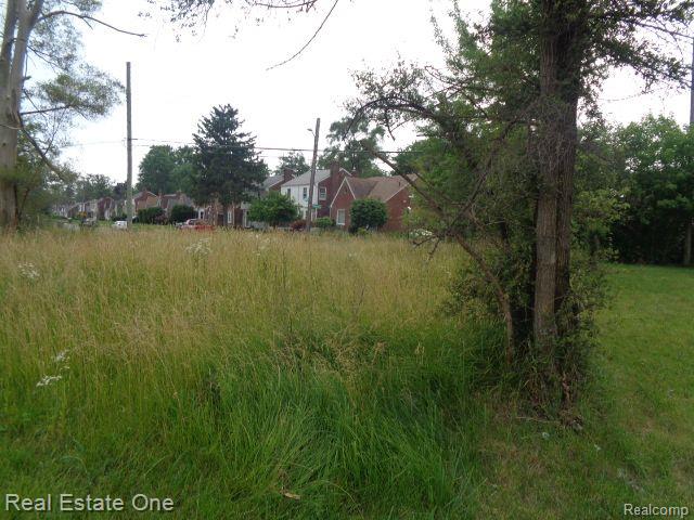 18553 JAMES COUZENS, Detroit, MI 48235 — Photo 5